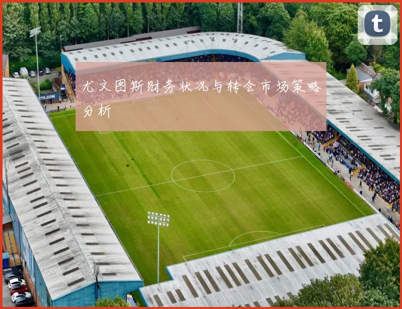 尤文图斯财务状况与转会市场策略分析