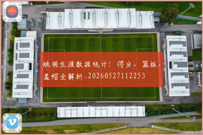 姚明生涯数据统计：得分、篮板、盖帽全解析_20260527112253